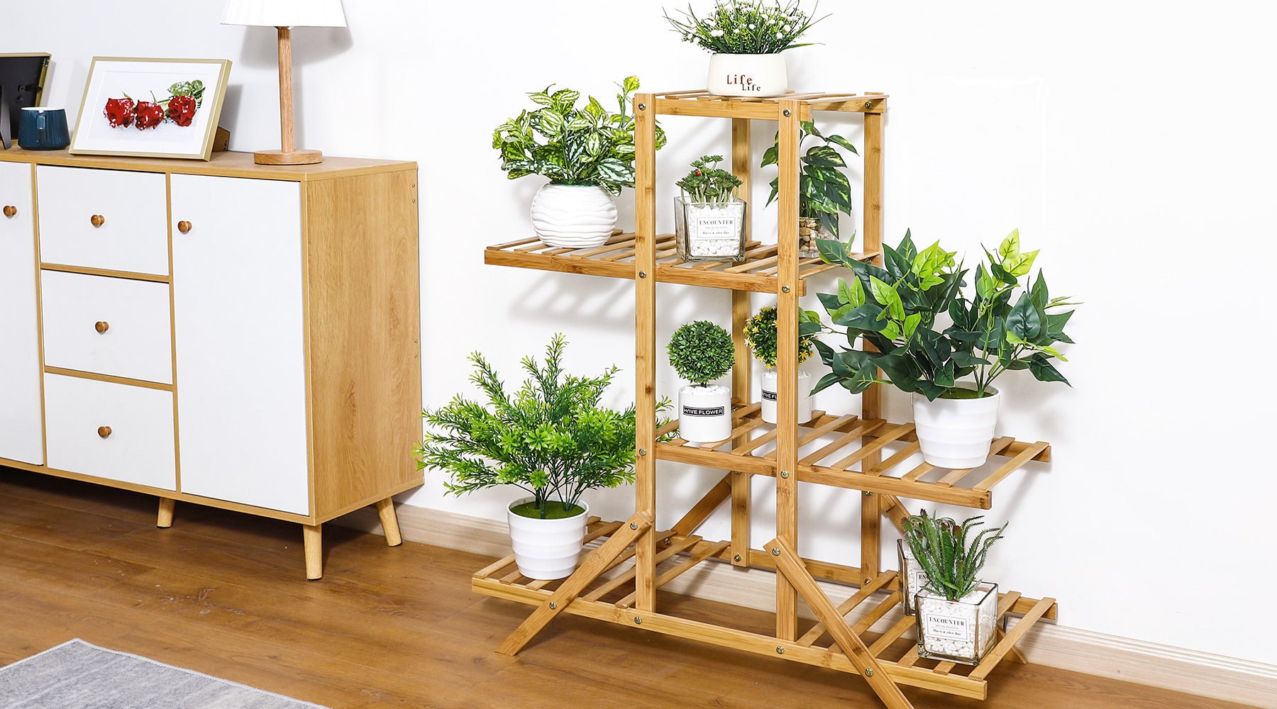 calathea stellt blätter hoch Calathea 'Wavestar' 80 cm | Korbmarante im Ø19 cm Topf – Pflegeleicht &  Haustierfreundlich main image 1
